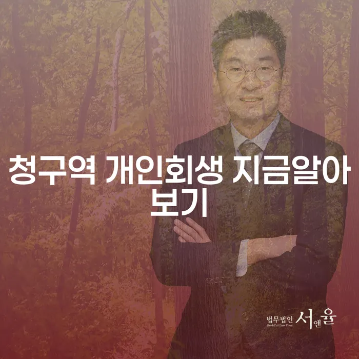 청구역 개인회생 지금알아보기