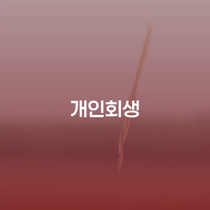 명동 개인회생으로 채무 해결하기